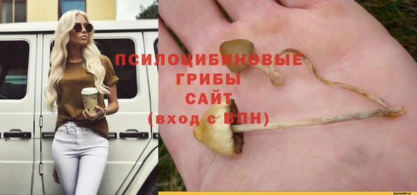 apvp Армянск