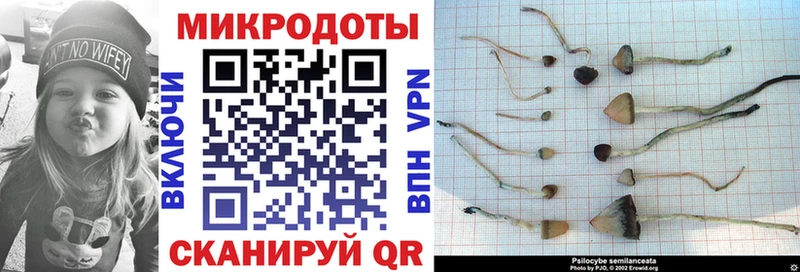 Псилоцибиновые грибы Magic Shrooms  Сочи 